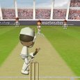 Flash Cricket 2 Game